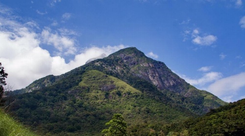 Theva Residency image 2